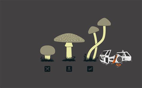 Shroom Wallpapers - Wallpaper Cave