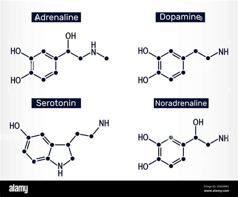 Adrenaline Epinephrine Dopamine Da Serotonin Norepinephrine