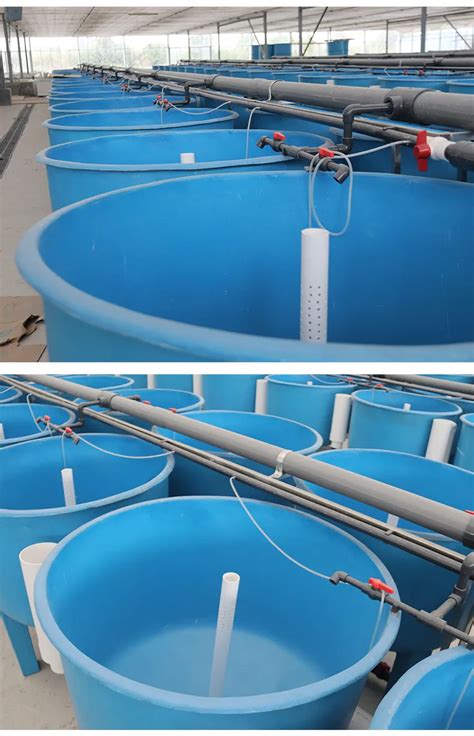 High Quality Aquaculture System Fish Pond Fiberglass Tank - QihangRAS