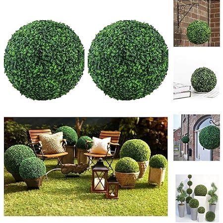 Amazon Boxwoodworld Boxwood Topiary Ball Preserved Boxwood