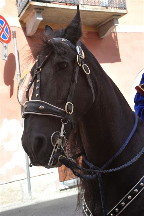 I protagonisti e le curiosità della sfilata del Palio di Asti