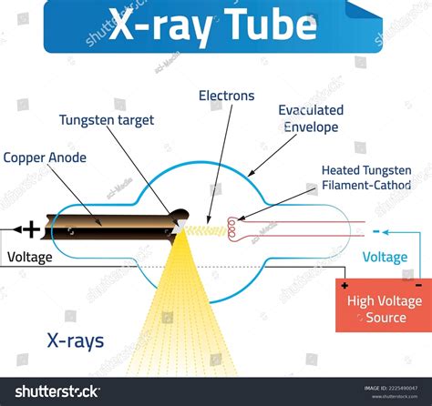 Schematic Diagram X Ray Tube That Could Stock Vector Royalty Free