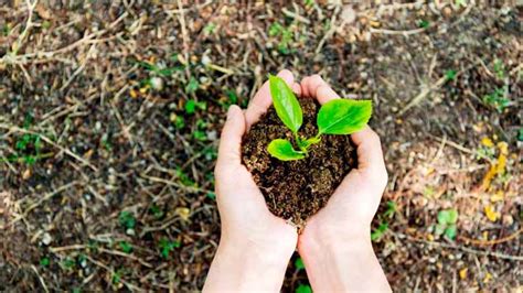 Abertas Inscrições Para Curso De Formação Continuada Em Educação Ambiental Podbee Notícias