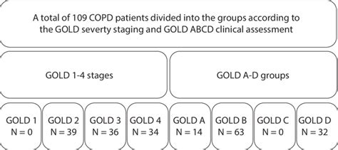 Subdivision Of 109 Copd Patients According To The Severity Of Airflow