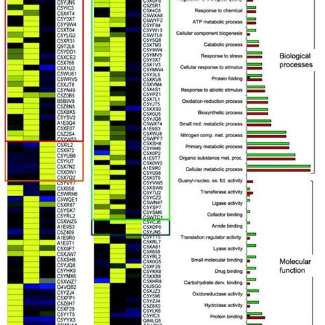 Pathway Enrichment And Protein Protein Interaction Analysis Of Proteins