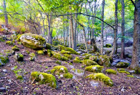 Cinco destinos españoles para disfrutar del otoño