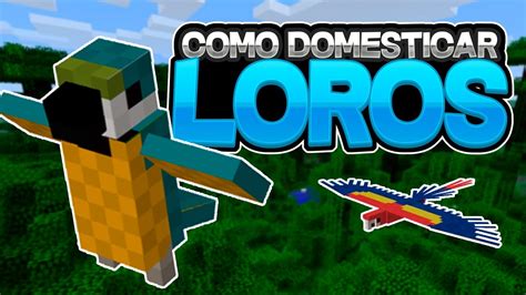 Como Domesticar Loros En Minecraft W A Youtube