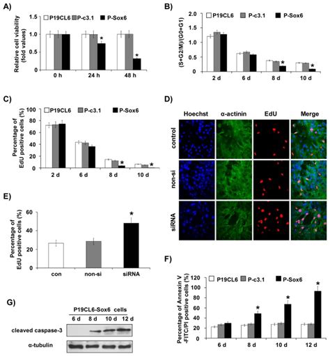 A Cell Viability Assay With Cck 8 Was Performed On Cells Replated At