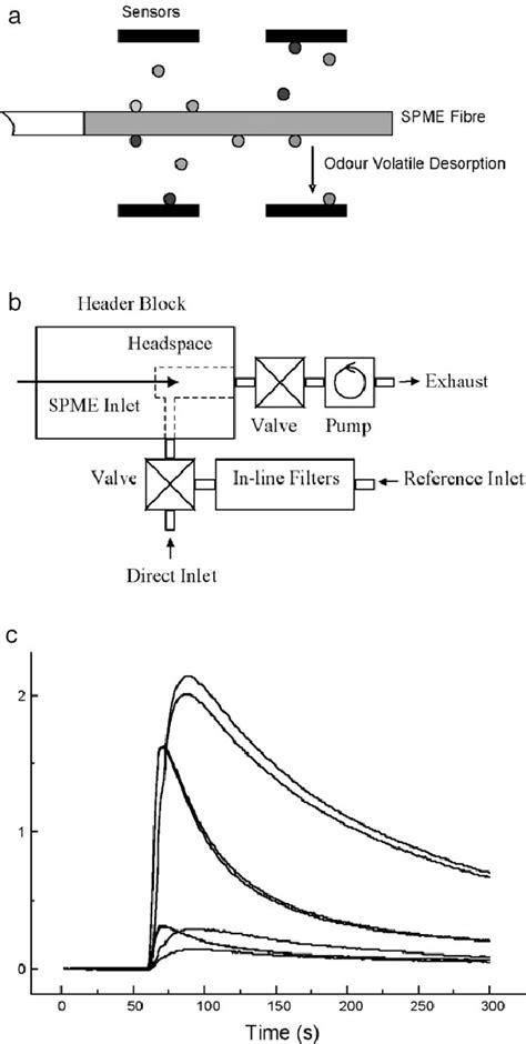 A Solid Phase Microextraction Fibre Thermal Desorption Of Adsorbed