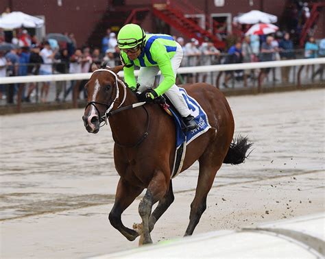 Jackies Warrior Fue Un Cohete Para Ganar Al Galope En El Amsterdam