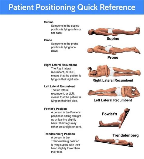 Supine Position Artofit