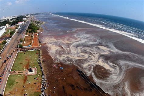 Las Huellas Del Tsunami Que Hizo Temblar Al Mundo