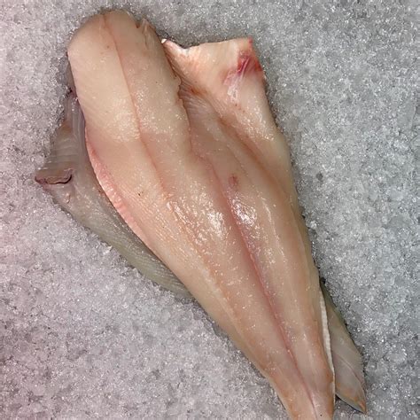 Beautifully Fresh Halibut Fillets | UK Delivery