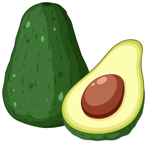 Avocado Clipart Zdjęcia darmowe pobieranie na Freepik