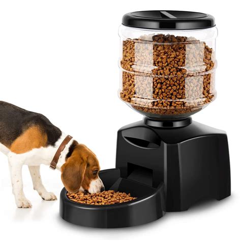 El Mejor Dispensador Autom Tico De Comida Para Perros Y Gatos