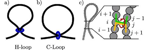 Loop Types A Hairpin Loop B Coiled Loop Blue Rings Represent