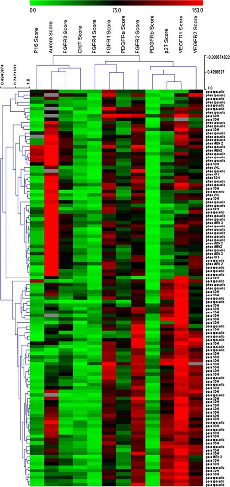 Tyrosine Kinase Receptors As Molecular Targets In Pheochromocytomas And