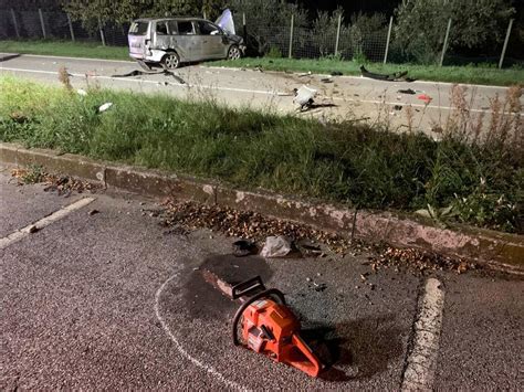 Rimini Ruba Un Auto Nella Fuga Finisce Fuori Strada E Muore