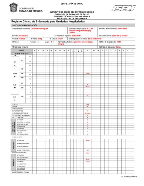 Hoja De Registros Clinicos De Enfermeria Une Las Parejas The Best