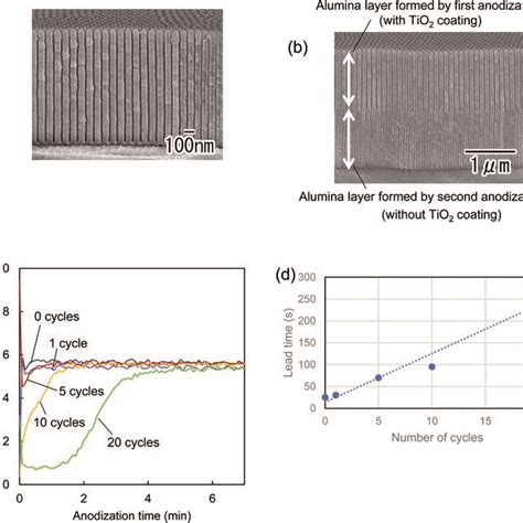 A Cross Sectional Sem Image Of Ordered Anodic Porous Alumina After