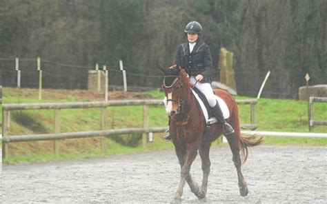 Premiers podiums pour le poney club de Glomel Le Télégramme