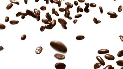 The Coffee Beans Border Stock Vector Image By ©madtom 30975213