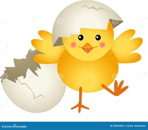 Chick Leaving Cracked Egg Stock Vector Illustration Of Yellow 36959607