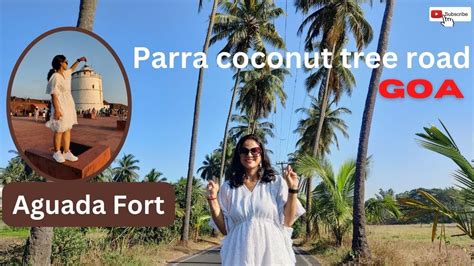 Parra Coconut Tree Road A Scenic Road In Goa Aguada Fort A