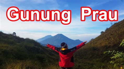 Fakta Unik Wisata Gunung Prau Dari Spot Ciamik Hingga Bunga Edelweis