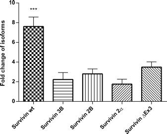 High expression of survivin and its splice variants survivin ΔEx3 and