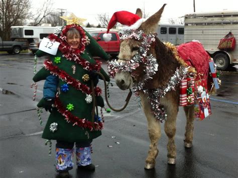 Photos - Lexington Christmas Horse parade