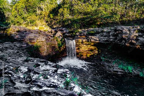 Natureza Cachoeiras Rvores Chapada Dos Veadeiros Goi S Brasil Paisagem