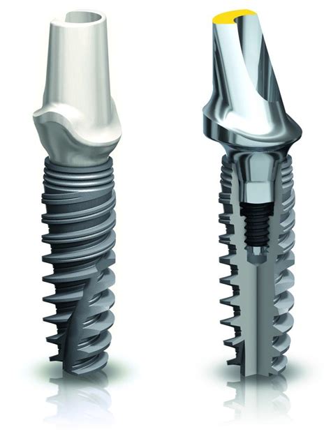 Pin on Anatomy&Dentistry