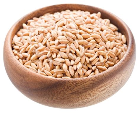 Organic Farro — Grains — Cooking & Baking — Nuts.com