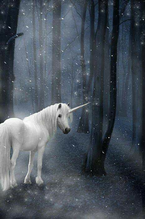 Pin By Ana Patricia Fill Avila On Wolves Dragons Unicorns Fairies