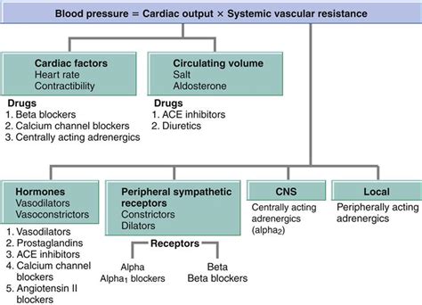 Antihypertensive Drugs Nurse Key