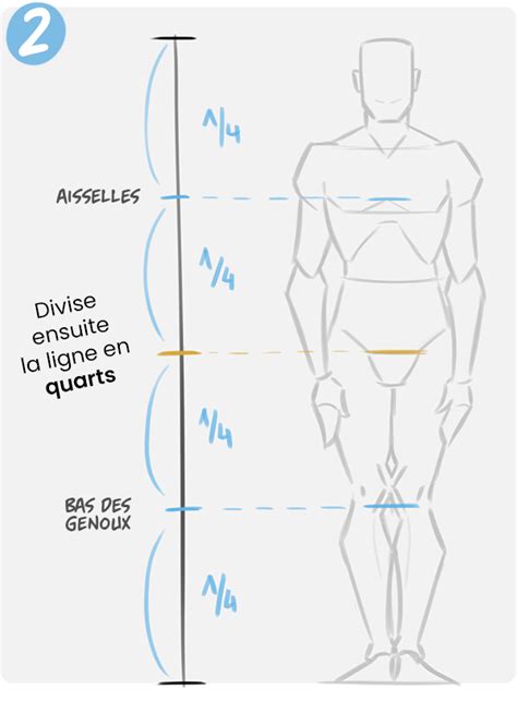 Comment Bien Dessiner Les Proportions Du Corps Humain Zephy Artofit