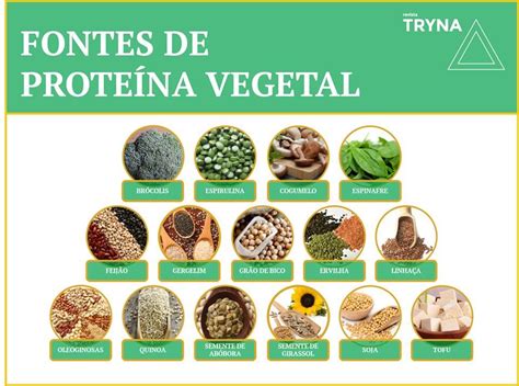 Fontes De Proteína Vegetal Proteínas Vegetais Fontes De Proteína