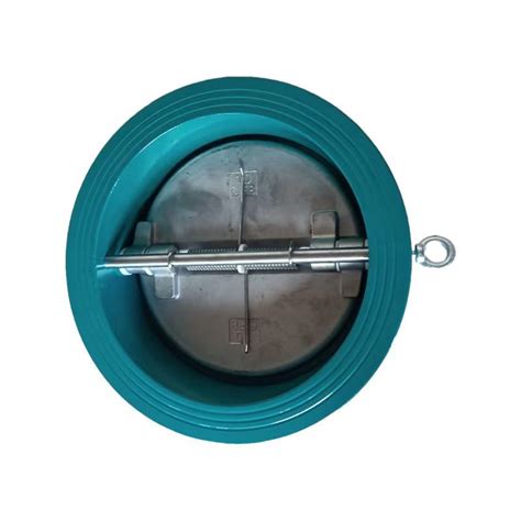 Ansi Class150 Ductile Cast Iron Double Disc Wafer Type Flap Check Valve China Valve And Check