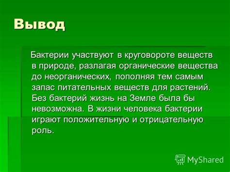 Бактерии. Виды бактерий - презентация онлайн