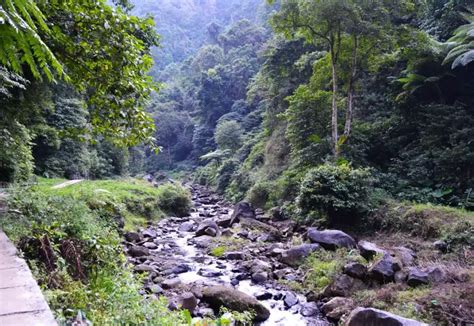 Madakaripura Waterfall Trail In Indonesia One Ticket Just Go