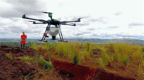 La start up Morfo restaure les forêts grâce à des drones Les Echos