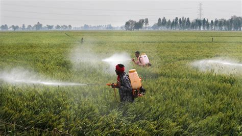 How Pesticides Intensify Global Warming Grist