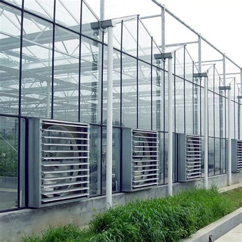 Supply Double Pane Greenhouse Glass Wholesale Factory - TIANJIN ...