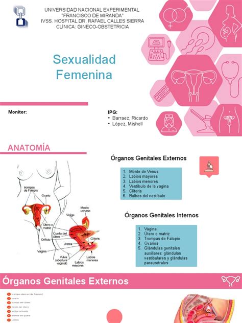 Sexualidad Femenina Pdf Vagina Sistema Reproductivo