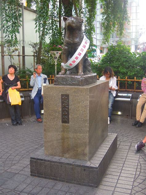 Hachiko statue, shibuya Hachiko Statue, Tokyo, Japan, Tokyo Japan, Japanese