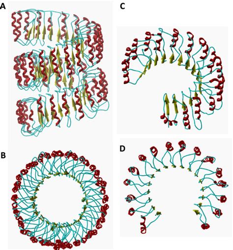 LRRs Of Human NLRC5 And RI Proteins LRR Domains Are Shown By