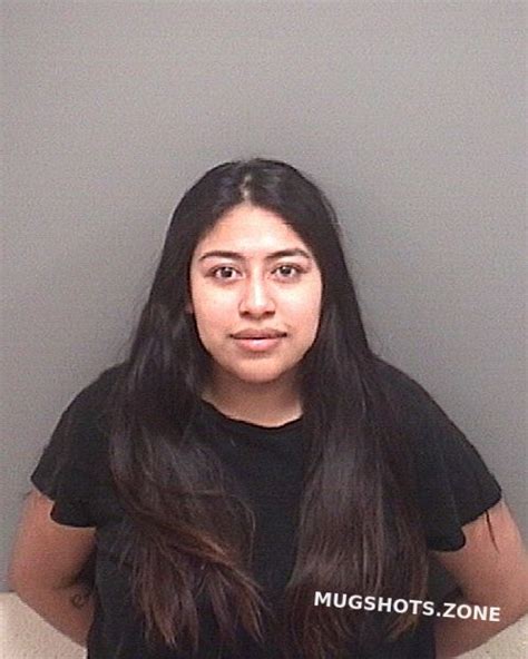 Gonzalez Raquel Morgan County Mugshots Zone