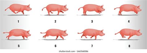 Pig Walk Cycle Animation Frames Loop เวกเตอร์สต็อก ปลอดค่าลิขสิทธิ์