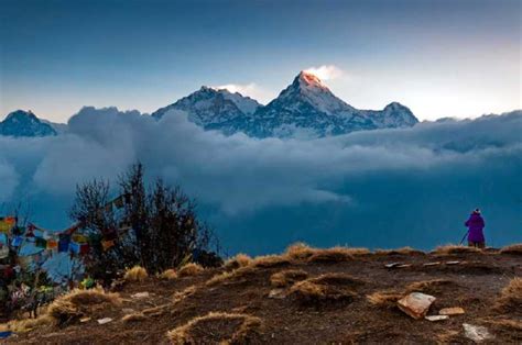 Ghorepani Poonhill Trek au Népal GetYourGuide